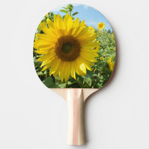 Raquete De Ping Pong flor, natureza, girassol, verão, floração, planta,
