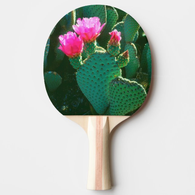 Raquete De Ping Pong Flores de Cactus Beavertail (Frente)