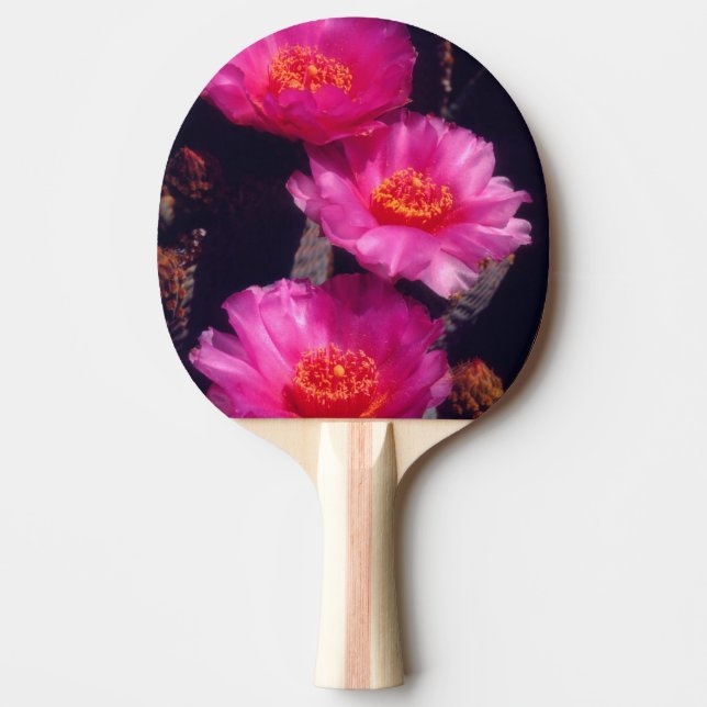 Raquete De Ping Pong Flores de Cactus Beavertail 2 (Frente)