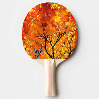 Raquete De Ping Pong Folhas de laranja