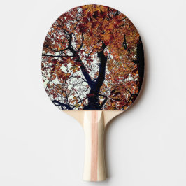 Raquete De Ping Pong Folhas de ouro