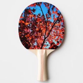 Raquete De Ping Pong Folhas de outono