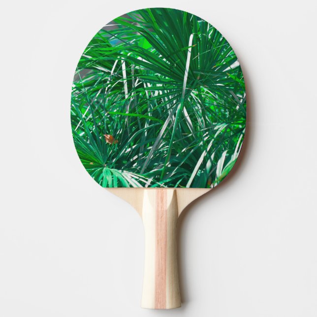 Raquete De Ping Pong Folhas de palmeiras verdes (Frente)