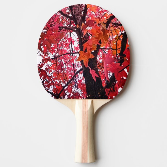 Raquete De Ping Pong Folhas rosa (Frente)