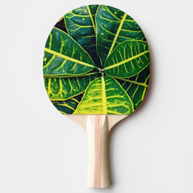 Raquete De Ping Pong Folhas verdes (Frente)