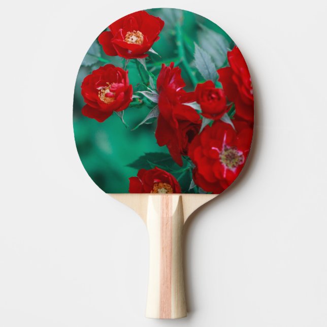 Raquete De Ping Pong Folhas verdes claras do Rosa vermelha (Frente)