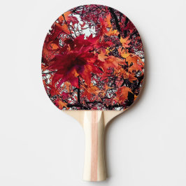 Raquete De Ping Pong Folhas vermelhas e laranja