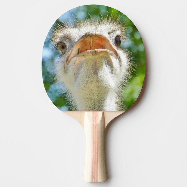 Raquete De Ping Pong Foto do animal Funny Ostrich (Frente)