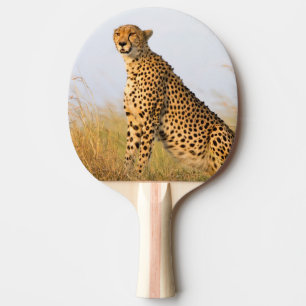 Raquete De Ping Pong Foto do Big Cat, animal selvagem