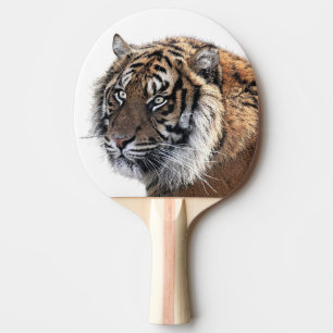 Raquete De Ping Pong Foto do zoológico da selva selvagem do animal Tig