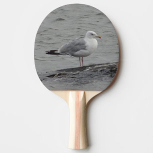Raquete De Ping Pong Gaivota grande
