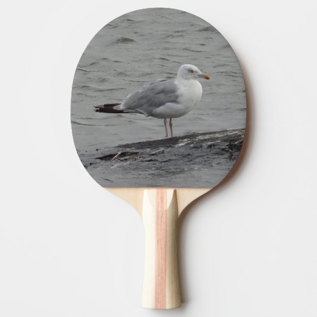 Raquete De Ping Pong Gaivota grande (Frente)