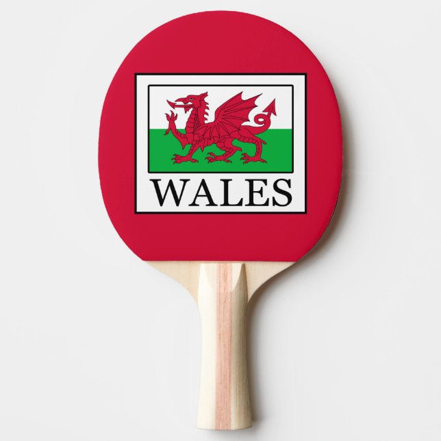 Raquete De Ping Pong Gales (Frente)