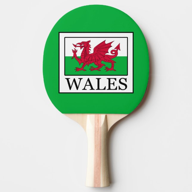 Raquete De Ping Pong Gales (Frente)
