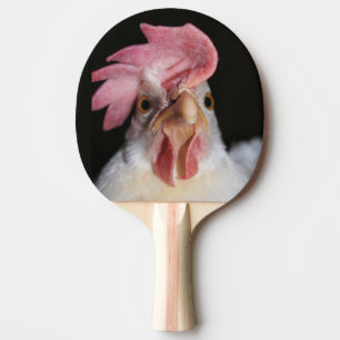 Raquete De Ping Pong Galinha