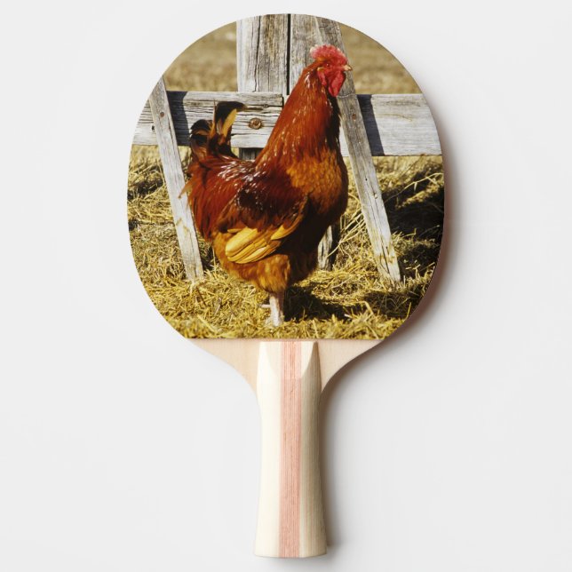 Raquete De Ping Pong Galo Vermelho de Rhode Island (Frente)