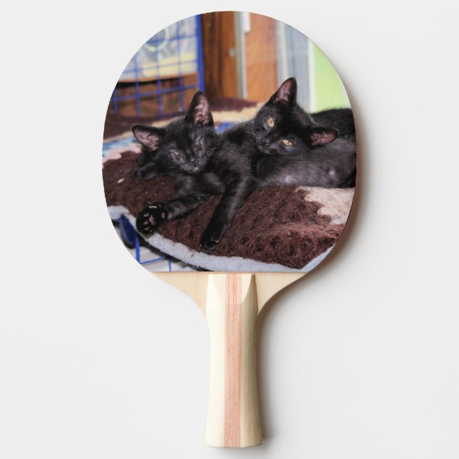 Raquete De Ping Pong Gatinhos (Frente)
