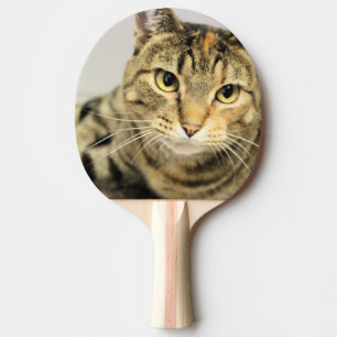 Raquete De Ping Pong Gato
