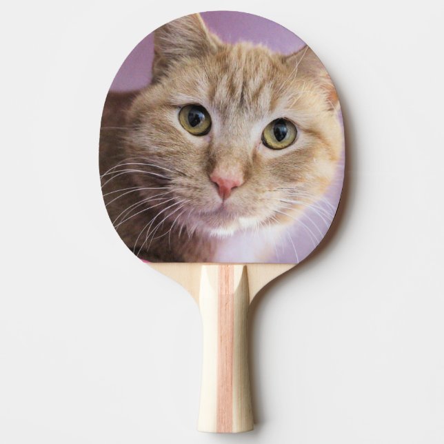 Raquete De Ping Pong Gato (Frente)