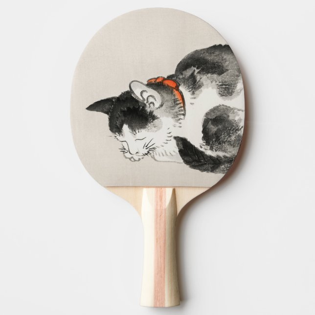 Raquete De Ping Pong Gato Adormecido (Frente)
