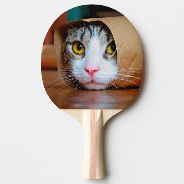 Raquete De Ping Pong Gato embrulhado num papel marrom (Frente)