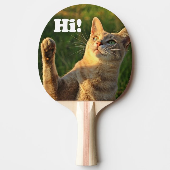 Raquete De Ping Pong Ginger Cat Dizendo Oi! (Frente)