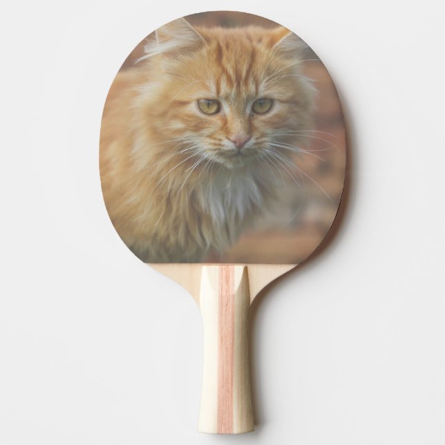 Raquete De Ping Pong Ginger Ginger Ginger Face (Frente)