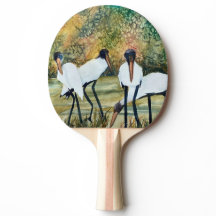 Grandes Pássaros Arte Histórica Pintadas Pilhas Br