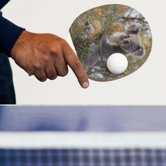 Raquete De Ping Pong Grevillea Koala Bear (Insitu)