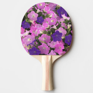 Raquete De Ping Pong Imagem fotográfica de flores de Ipomoea rosa e rox