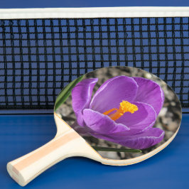 Raquete De Ping Pong Impressão primavera Purple Crocus Flower 2-Sided