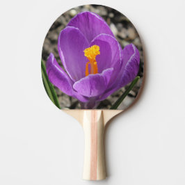 Raquete De Ping Pong Impressão primavera Purple Crocus Flower 2-Sided