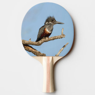 Raquete De Ping Pong Kingfisher gigante