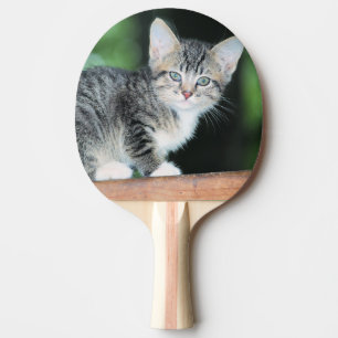 Raquete De Ping Pong Kitten