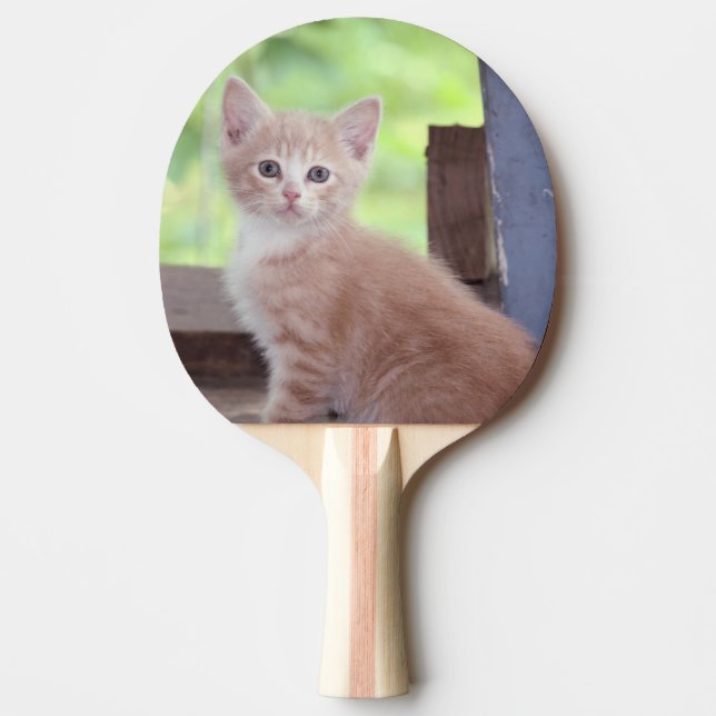 Raquete De Ping Pong Kitten (Frente)