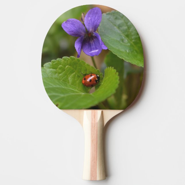 Raquete De Ping Pong Ladybug em Flores de Violeta Doce (Frente)