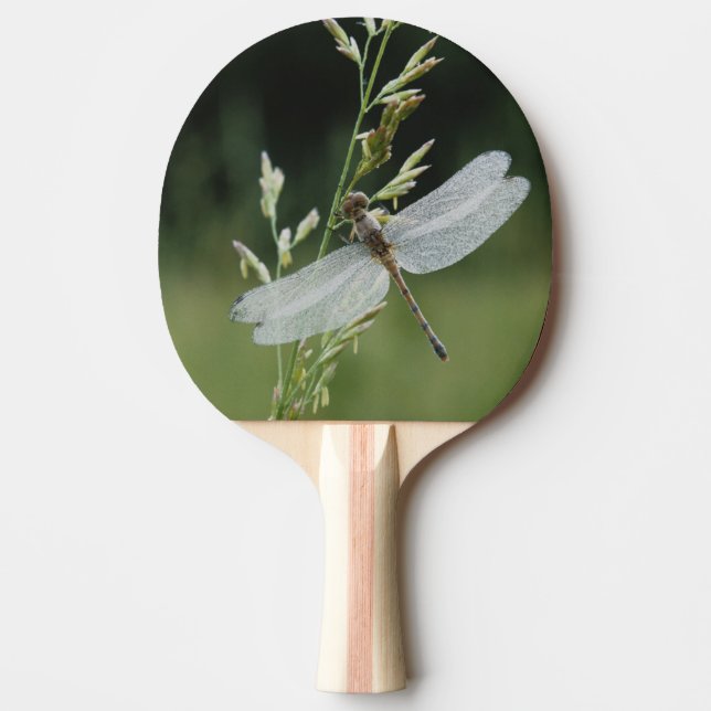 Raquete De Ping Pong Libélula Darner coberta de orvalho (Frente)