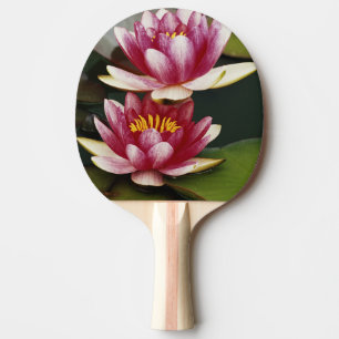 Raquete De Ping Pong Lírios de água híbridos