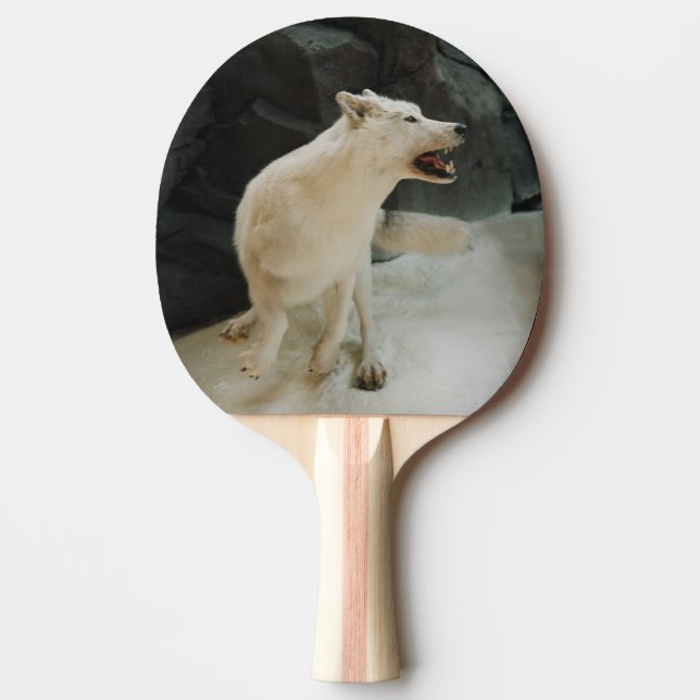 Raquete De Ping Pong Lobo Branco (Frente)