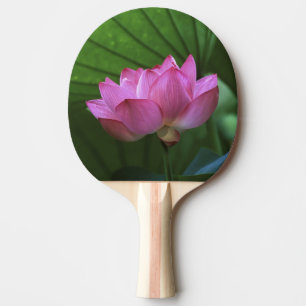 Raquete De Ping Pong Lótus Ohga, Jardim Sankei-en, Yokohama, Japão