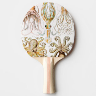 Raquete De Ping Pong Lula polvo, Gamochonia por Ernst Haeckel