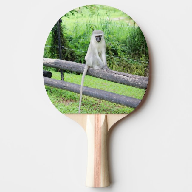 Raquete De Ping Pong Macaco Selvagem (Frente)