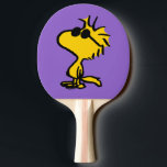 Raquete De Ping Pong Madeira Em Óculos De Sol<br><div class="desc">Dê uma olhada neste design super fofo com Woodstock esportivo de óculos legal de sol.</div>