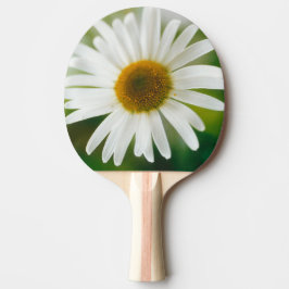 Raquete De Ping Pong Margarida Branca de Oxeye - Leucanthemum vulgare