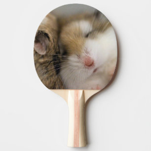 Raquete De Ping Pong Mover para o Bob