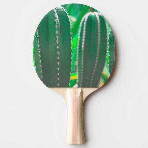 Raquete De Ping Pong O cacto verde deixa o pastel