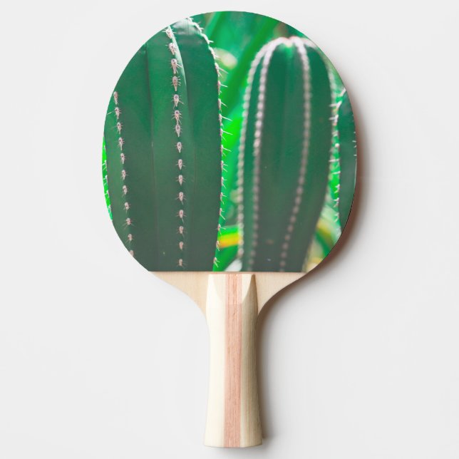 Raquete De Ping Pong O cacto verde deixa o pastel (Frente)