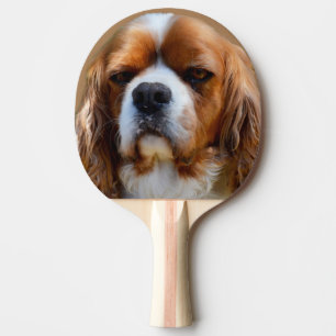 Raquete De Ping Pong O Rei Charles Cavalier Spaniel Face,