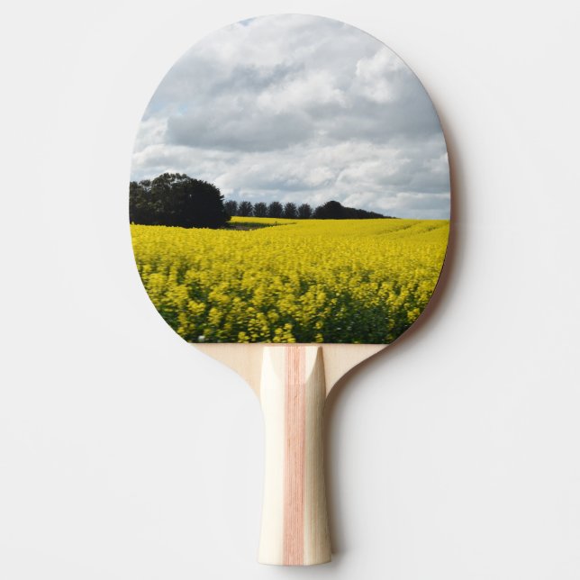 Raquete De Ping Pong Ondas Douradas de Streatham (Frente)