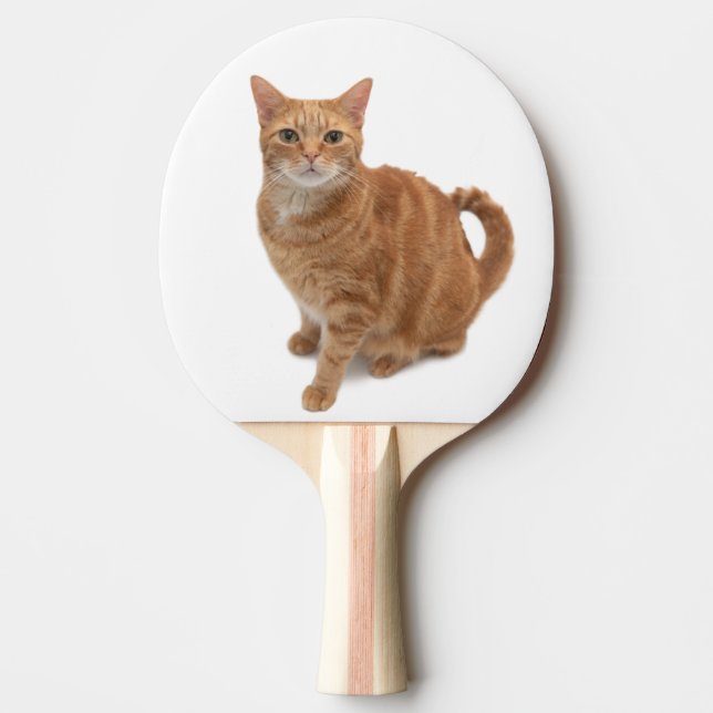 Raquete De Ping Pong Orange Cat (Frente)
